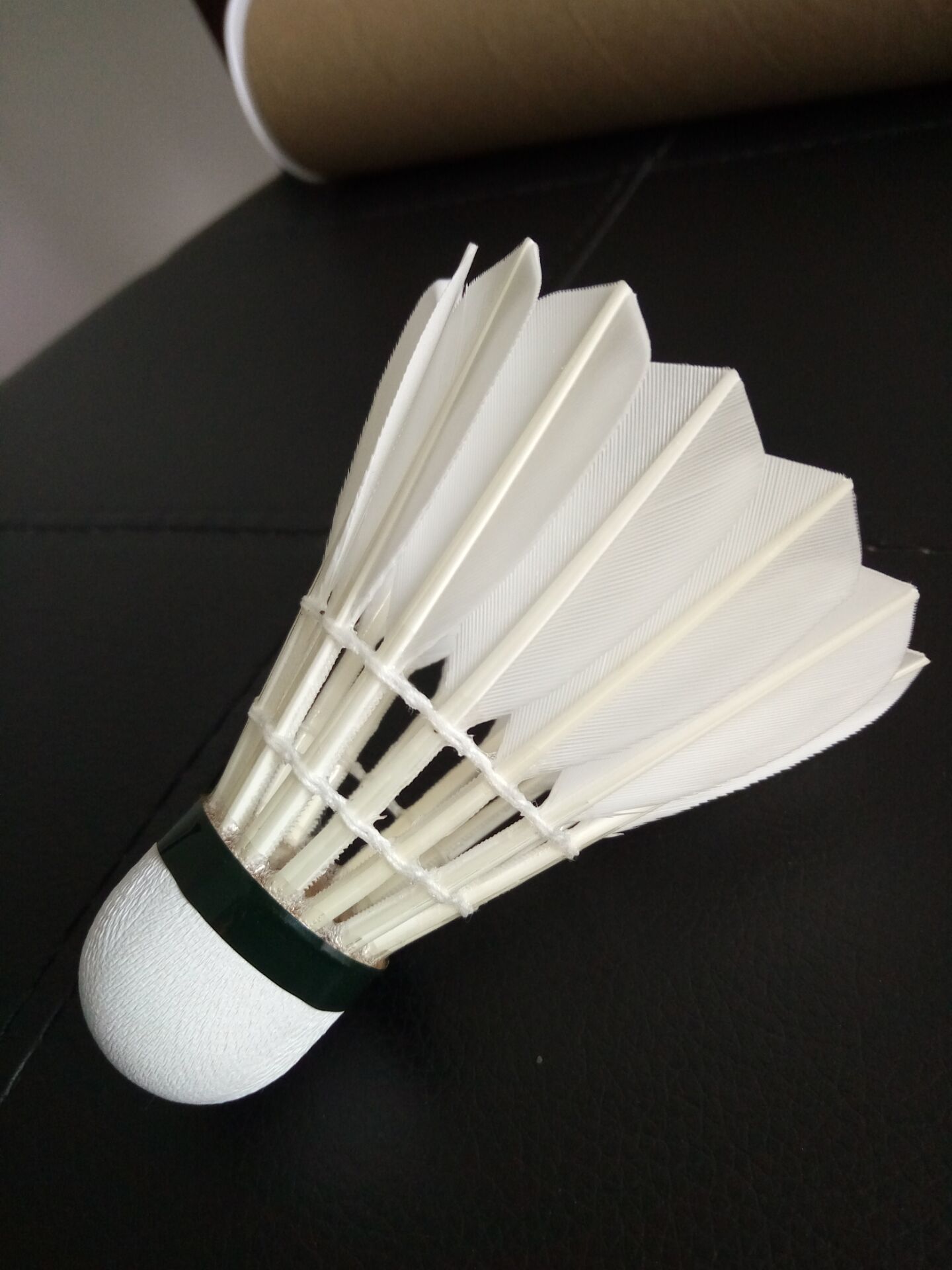 坛的新秀们 坛的新秀们